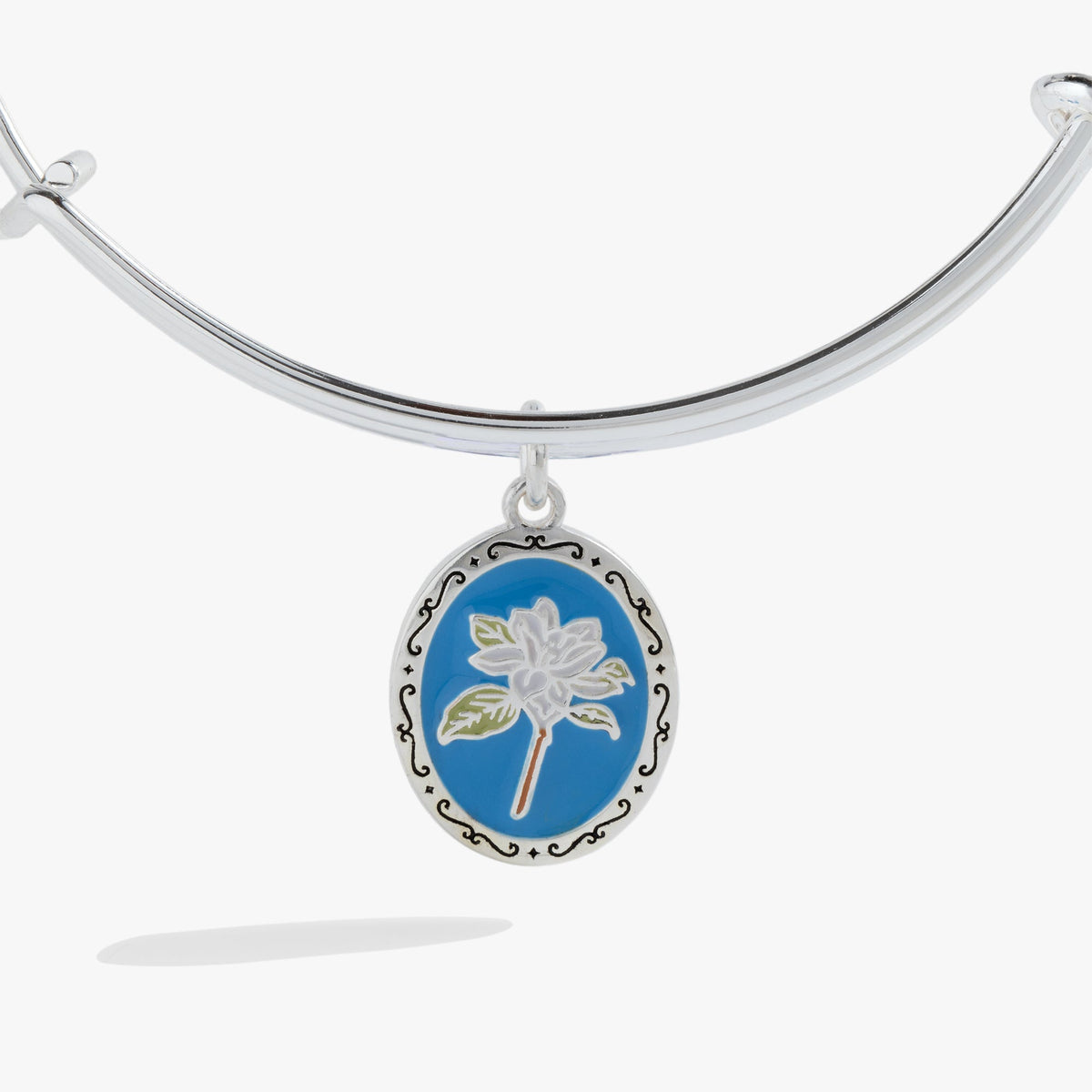 Alex and Ani Sending Love Charm Bangle