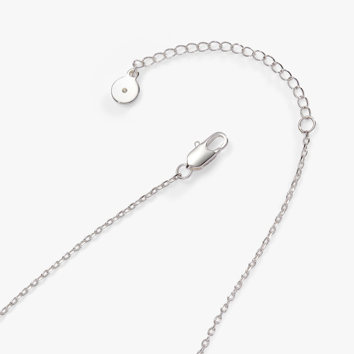 Alex and Ani Happily ever after Duo Charm Pendant