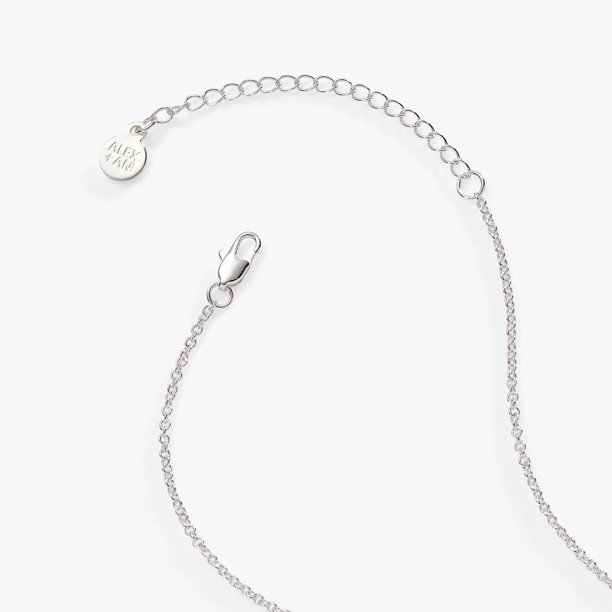 Alex and Ani “Wild at Heart” Duo Charm Pendant Necklace