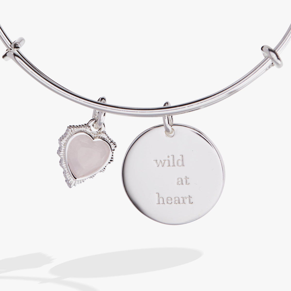Alex and Ani “Wild at Heart” Duo Charm Bangle