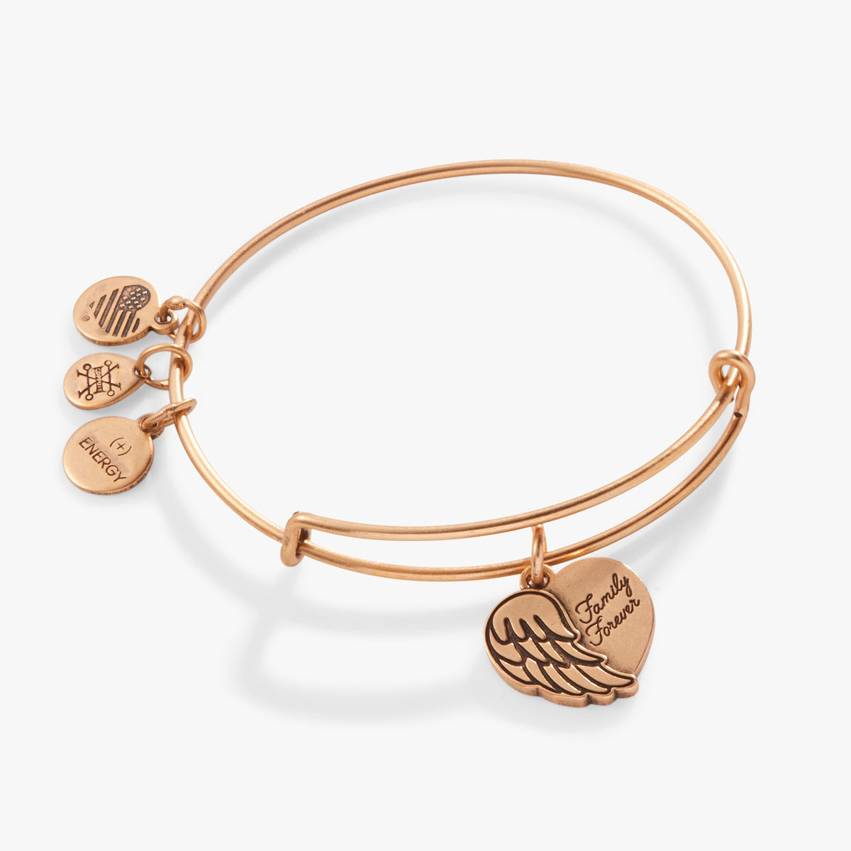 Alex and Ani Family Forever' Angel Wing Heart Charm Bangle