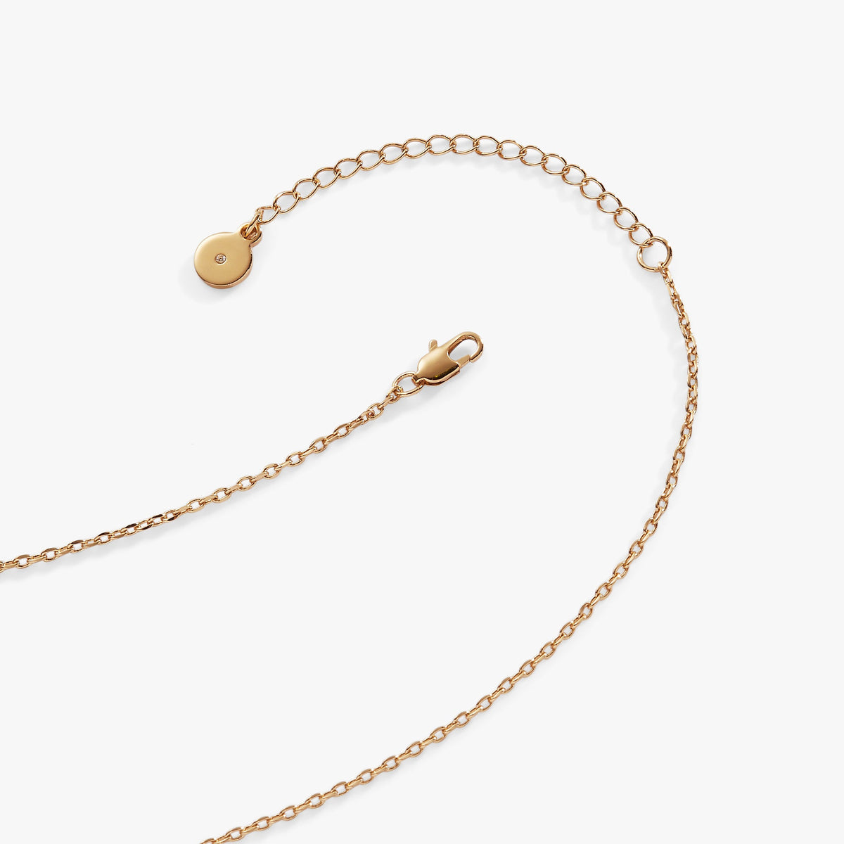 Alex and Ani BOM - Champagne necklace