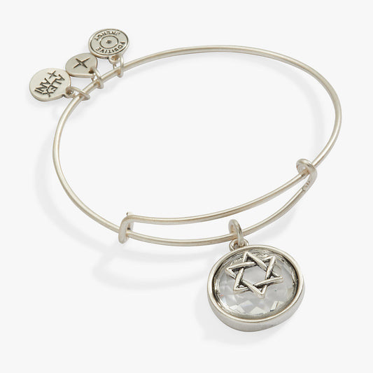 Alex and Ani Star of David Crystal Charm Bangle
