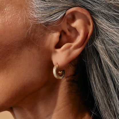 Alex and Ani Black Onyx Textured Earrings