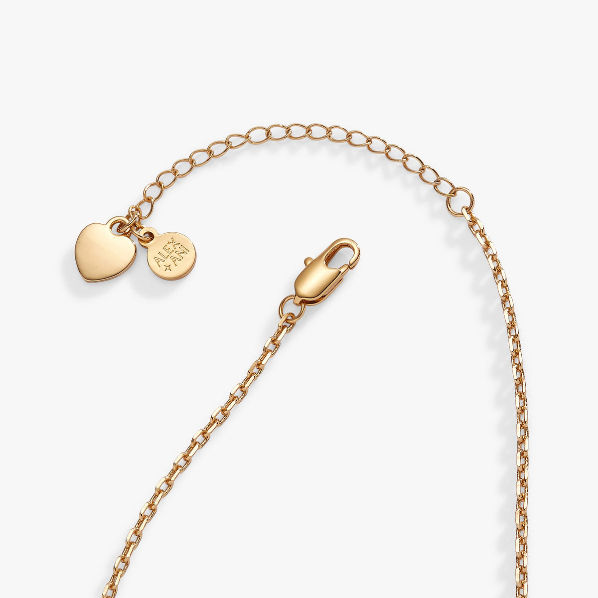 Alex and Ani Sweethearts necklace- multicharm