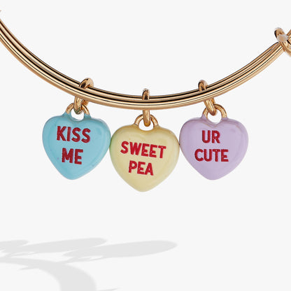Alex and Ani Sweethearts EWB-Multi hearts