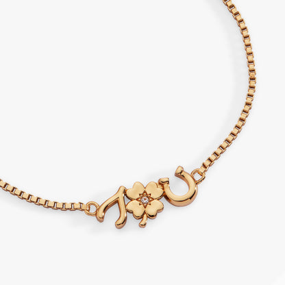 Alex and Ani Lucky Symbol Bolo Bracelet
