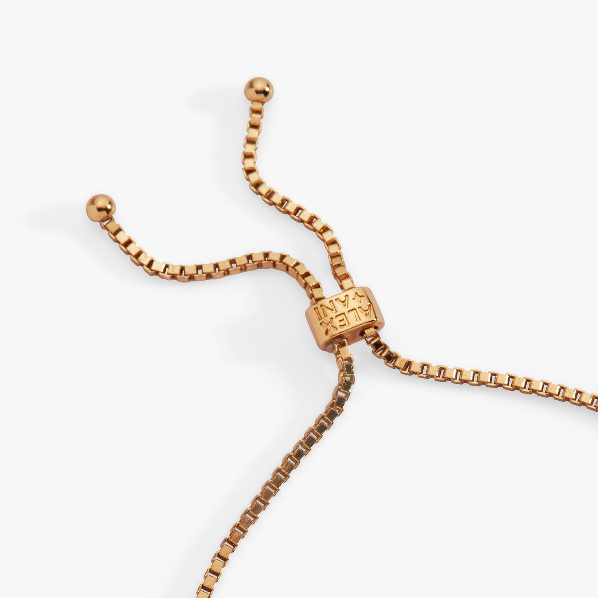 Alex and Ani Lucky Symbol Bolo Bracelet