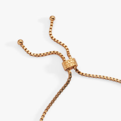 Alex and Ani Lucky Symbol Bolo Bracelet