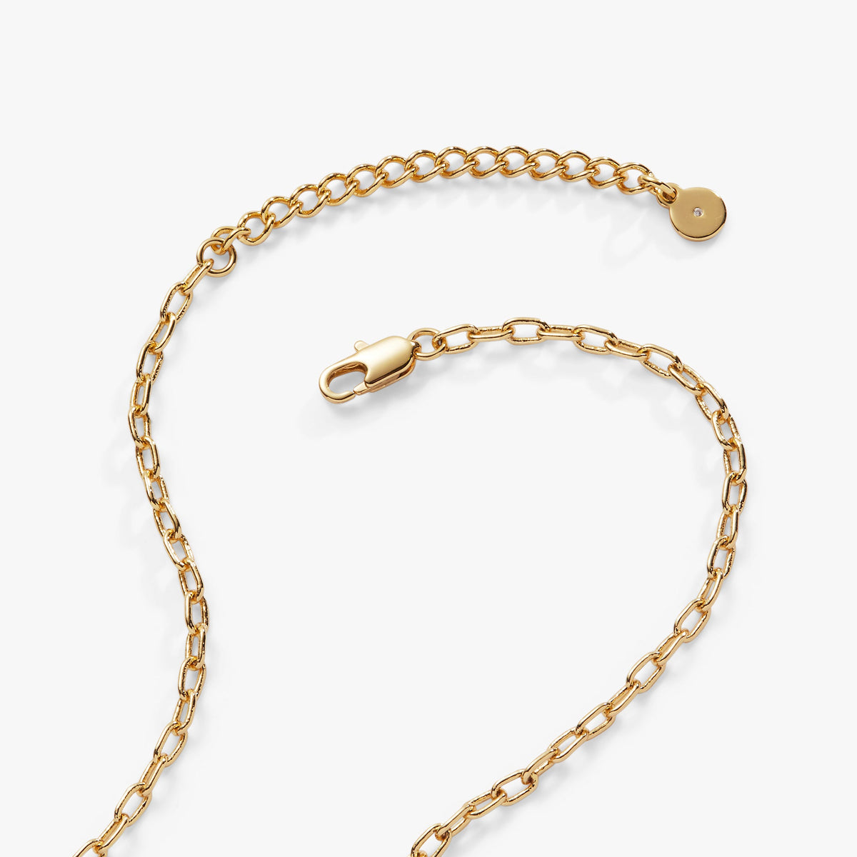 Alex and Ani Love and Luck Wheel Charm Necklace