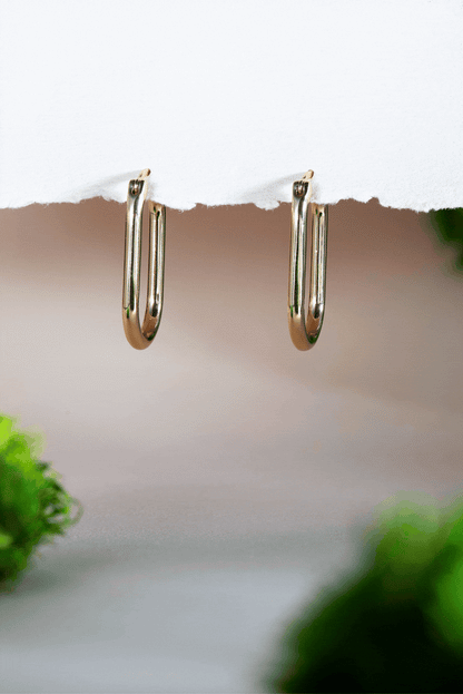Alex and Ani Love and Luck Wheel Hoop Earrings