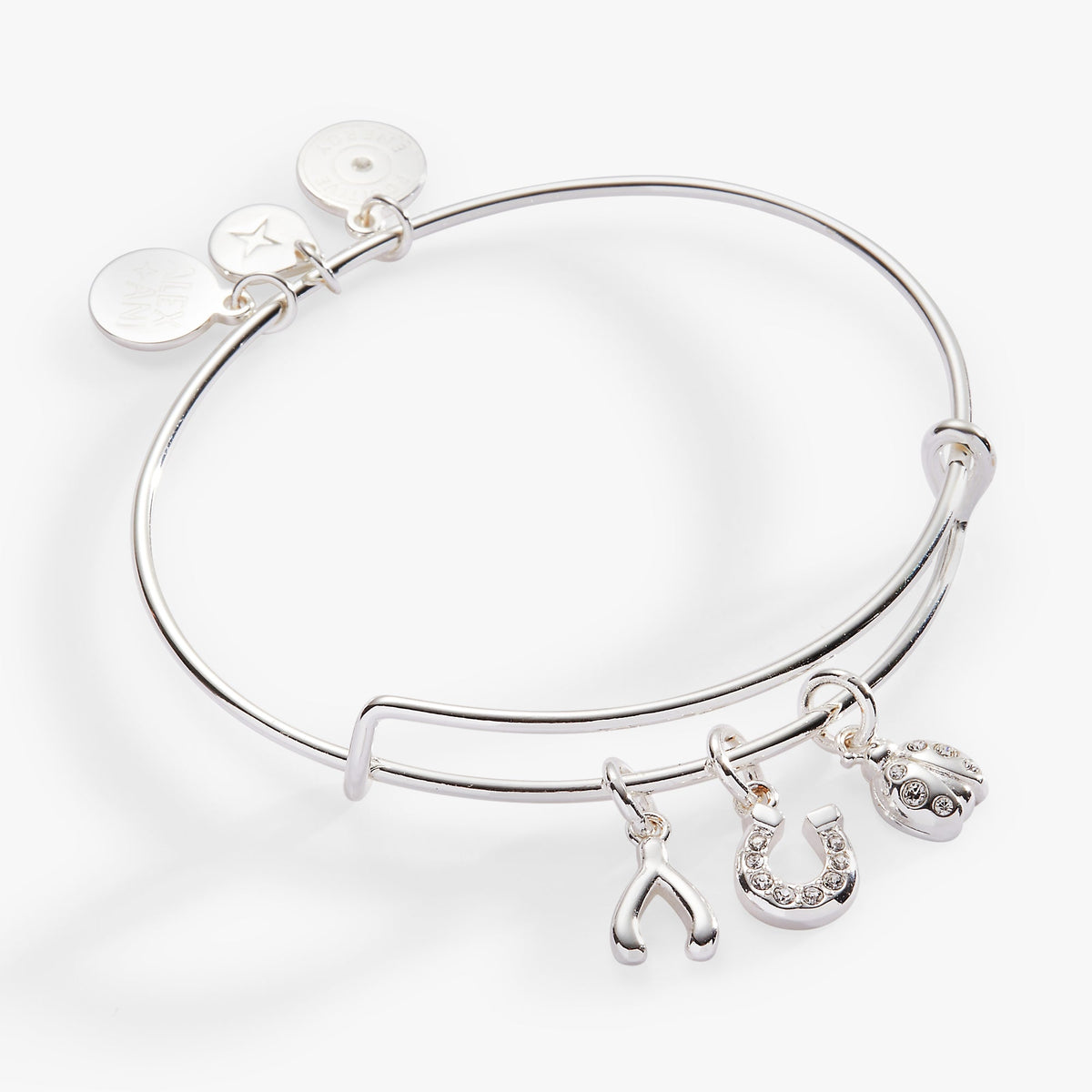 Alex and Ani Love and Luck Multi-Charm Bangle