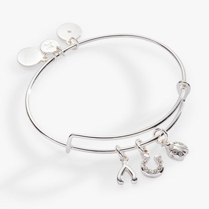 Alex and Ani Love and Luck Multi-Charm Bangle