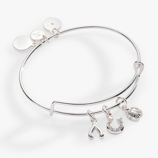 Alex and Ani Love and Luck Multi-Charm Bangle