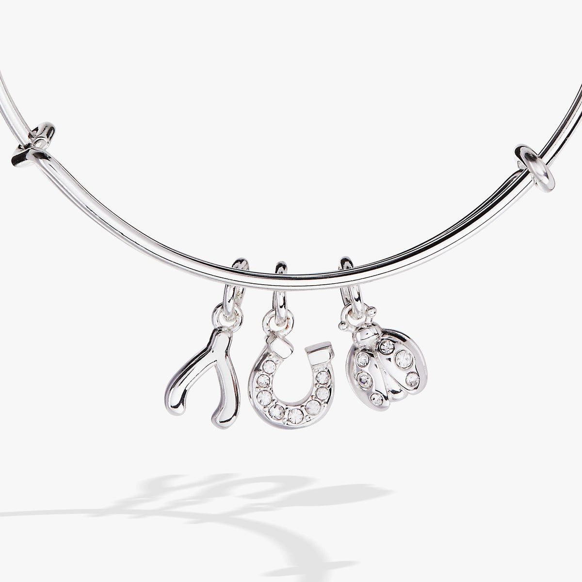Alex and Ani Love and Luck Multi-Charm Bangle