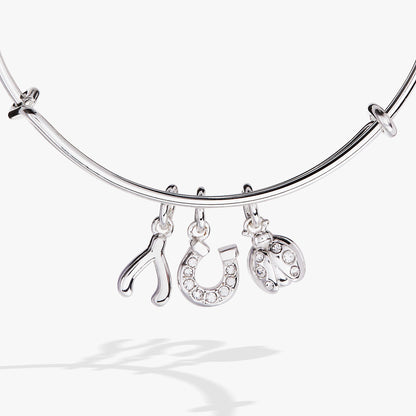 Alex and Ani Love and Luck Multi-Charm Bangle
