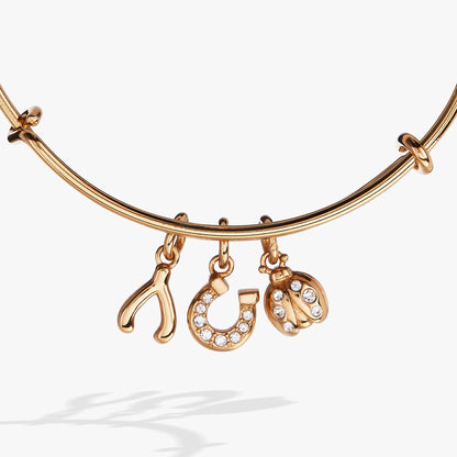Alex and Ani Love and Luck Multi-Charm Bangle