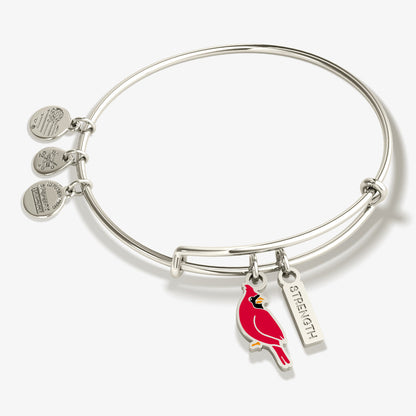 Alex and Ani Strength' Cardinal Charm Bangle Bracelet