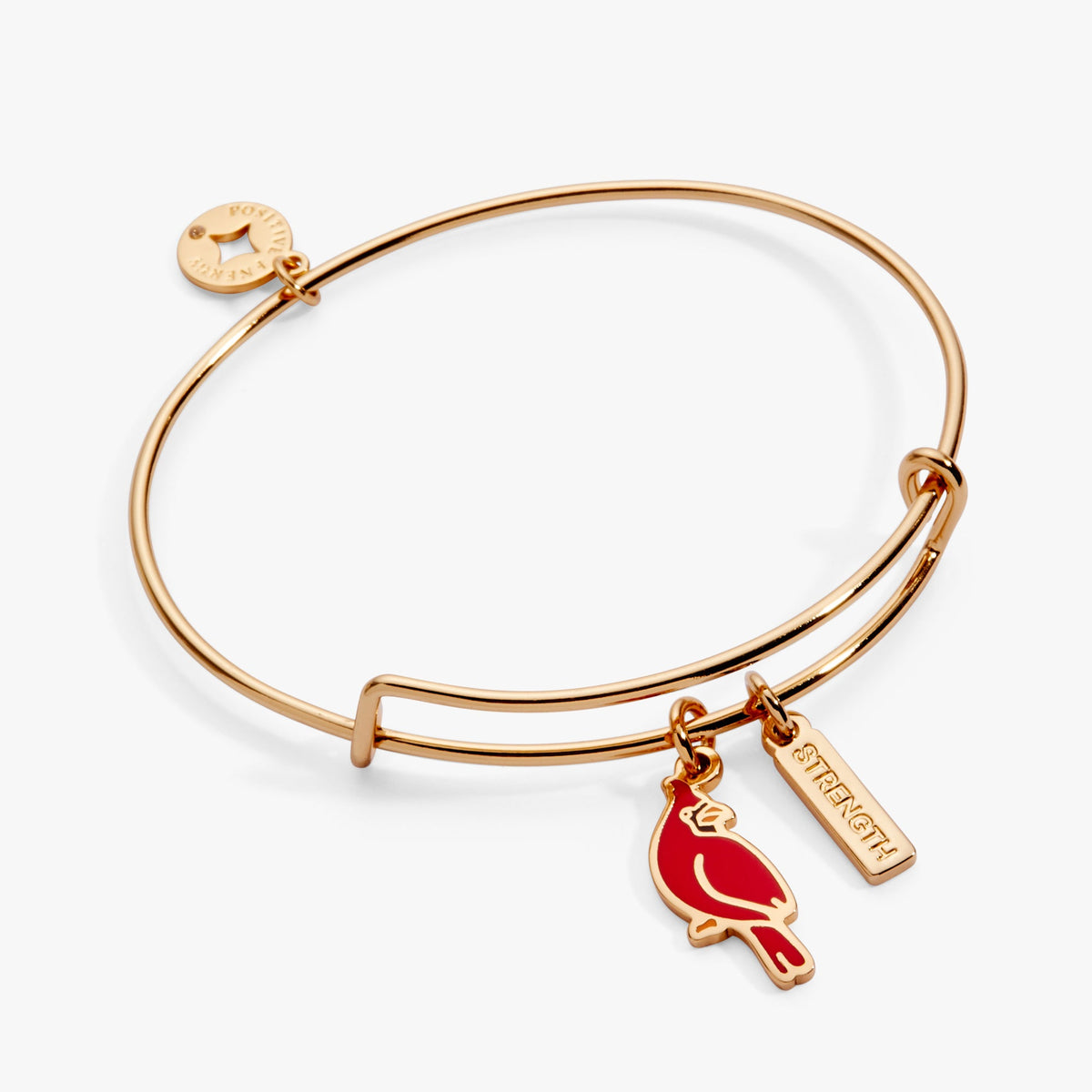 Alex and Ani Strength' Cardinal Charm Bangle Bracelet