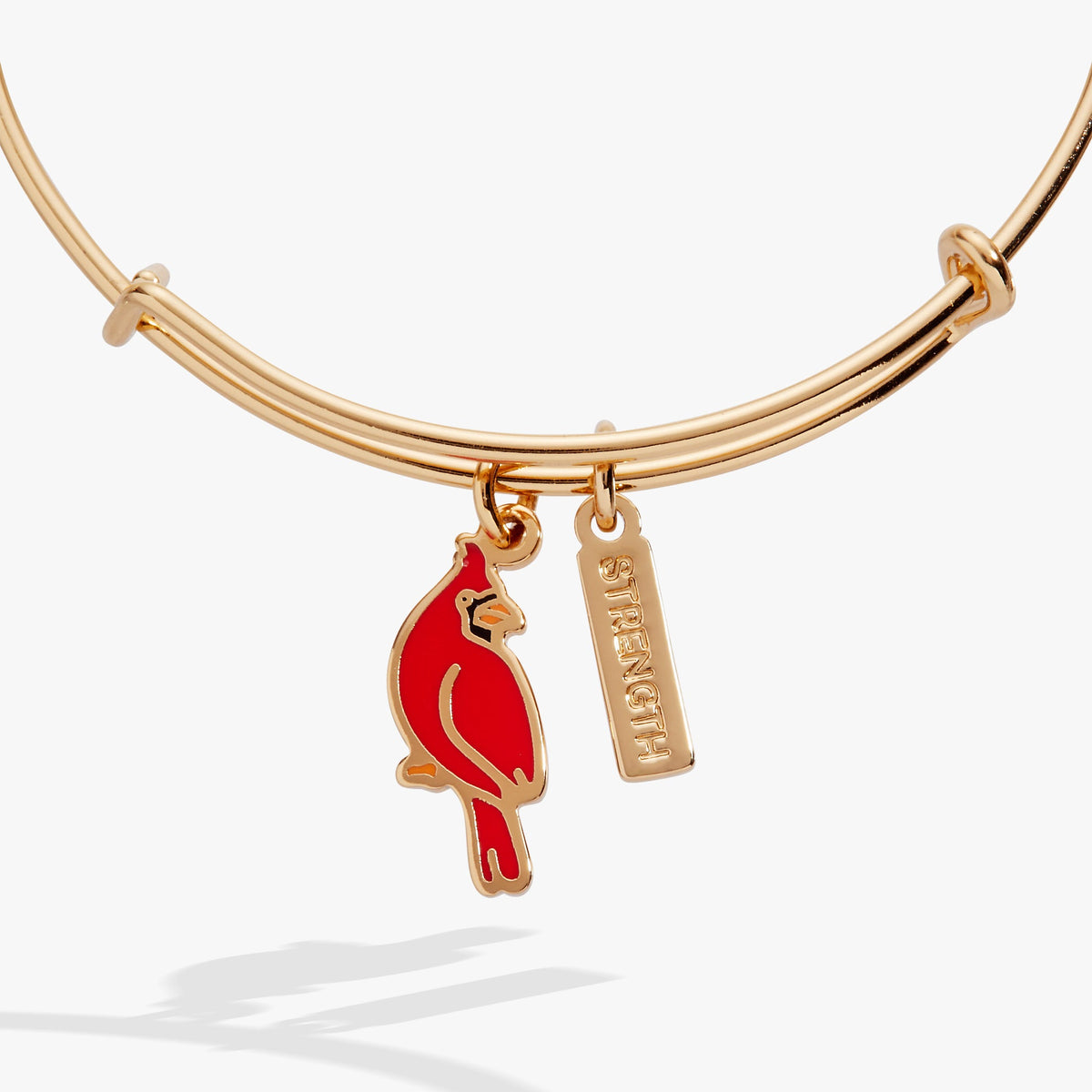 Alex and Ani Strength' Cardinal Charm Bangle Bracelet