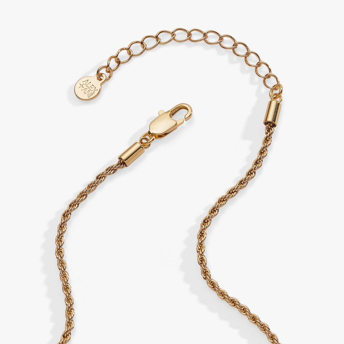 Alex and Ani Garden Party Shaker Pendant