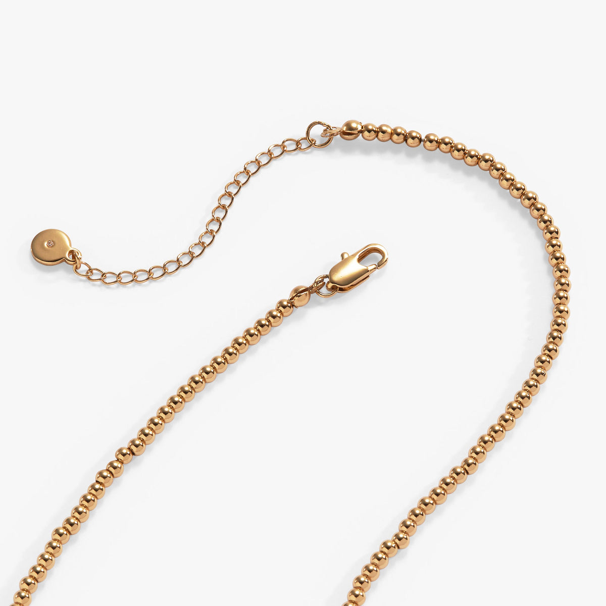 Alex and Ani Looney Tunes - Tweety Beaded Necklace