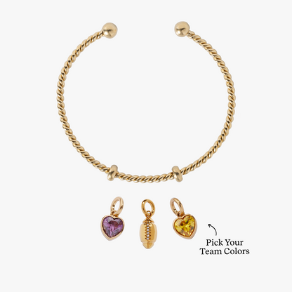 Alex and Ani Game Day Superfan Charm Bundle