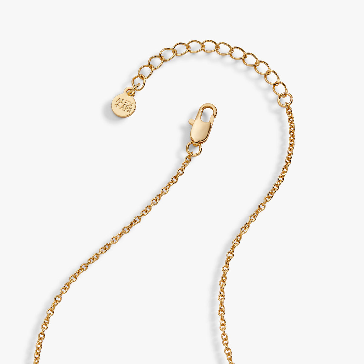 Alex and Ani Sweet Shop Mixer Duo Charm Pendant
