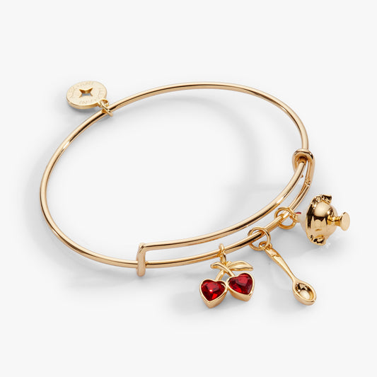 Alex and Ani My Cherry Amour Multi Charm EWB