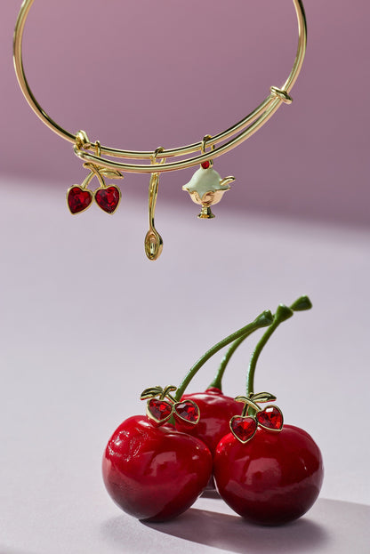 Alex and Ani My Cherry Amour Multi Charm EWB