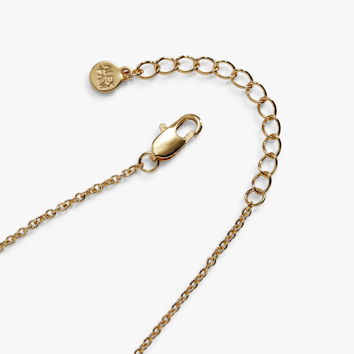 Alex and Ani Pet Mom Inline Bracelet