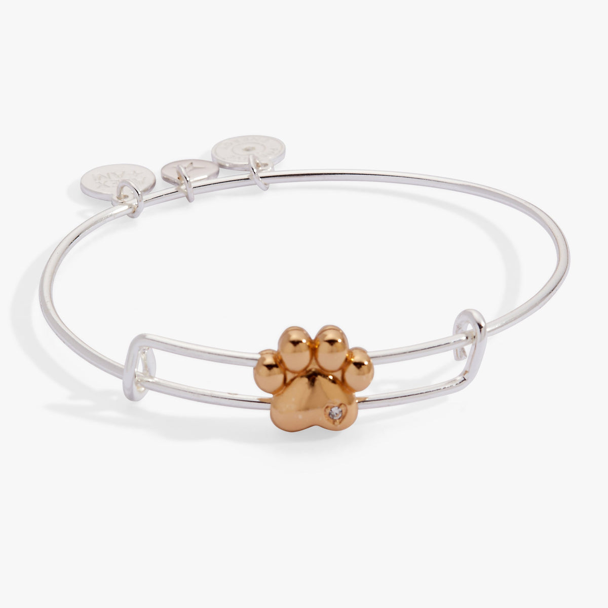 Alex and Ani Paw Slider Bangle