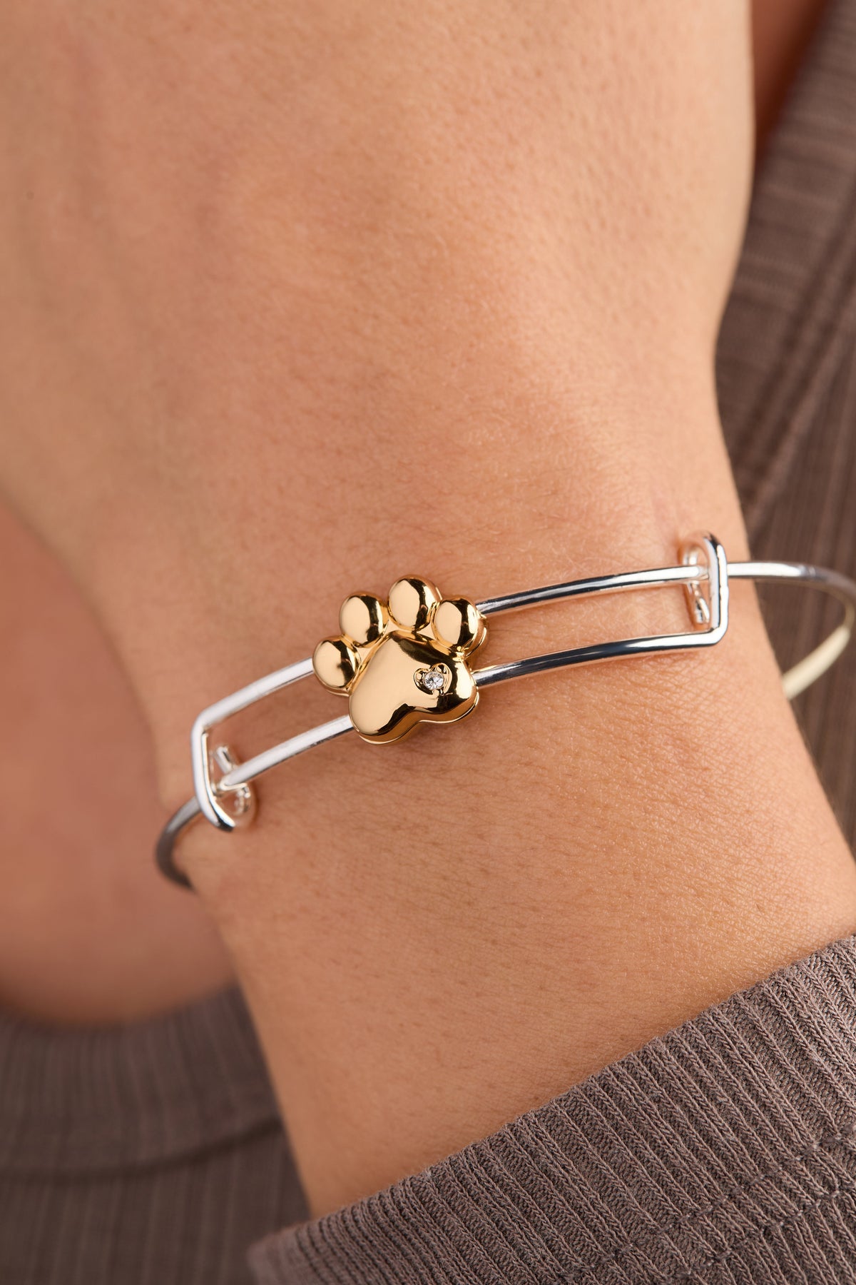 Alex and Ani Paw Slider Bangle