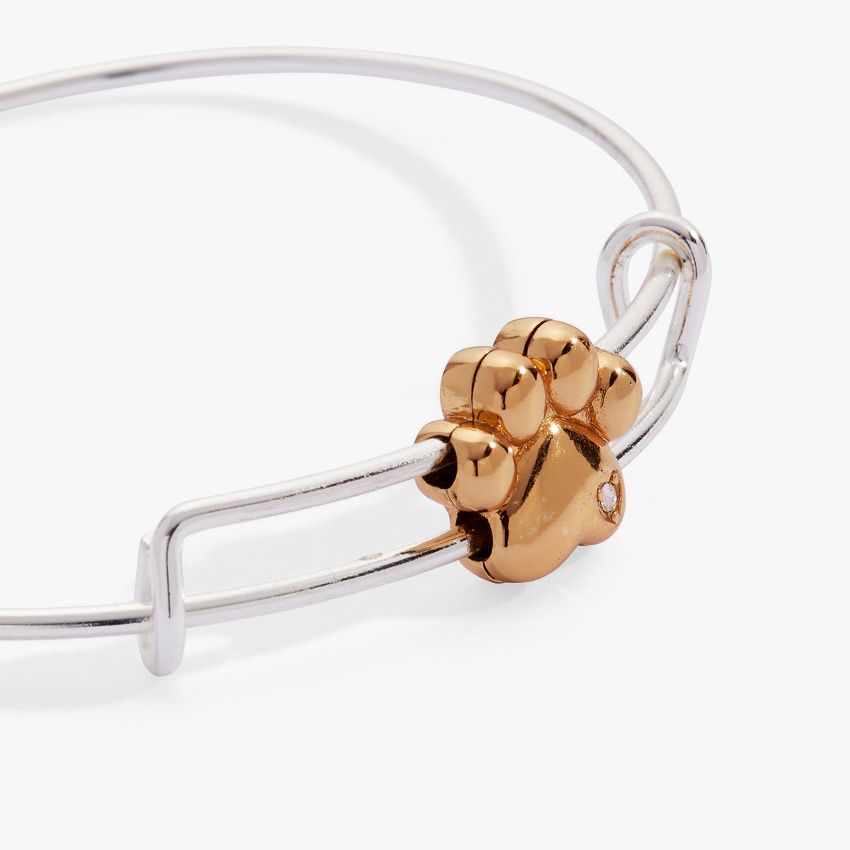 Alex and Ani Paw Slider Bangle