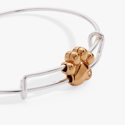 Alex and Ani Paw Slider Bangle