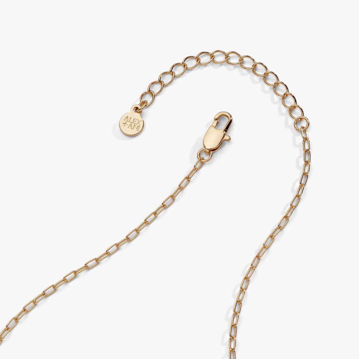 Alex and Ani Bunny Charm Necklace