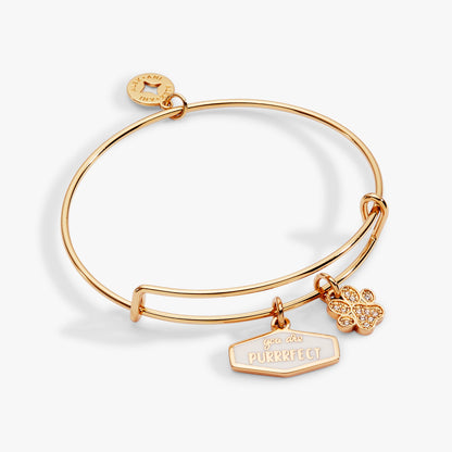 Alex and Ani You Are Purrrfect Charm Bangle