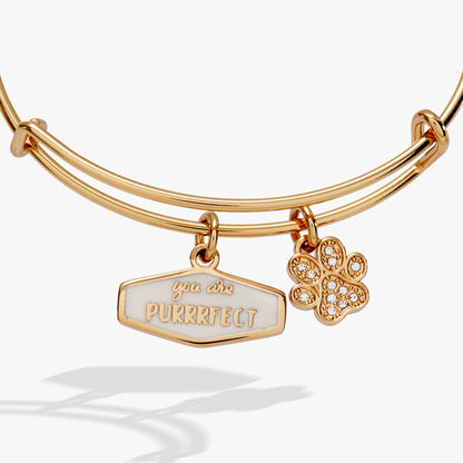 Alex and Ani You Are Purrrfect Charm Bangle