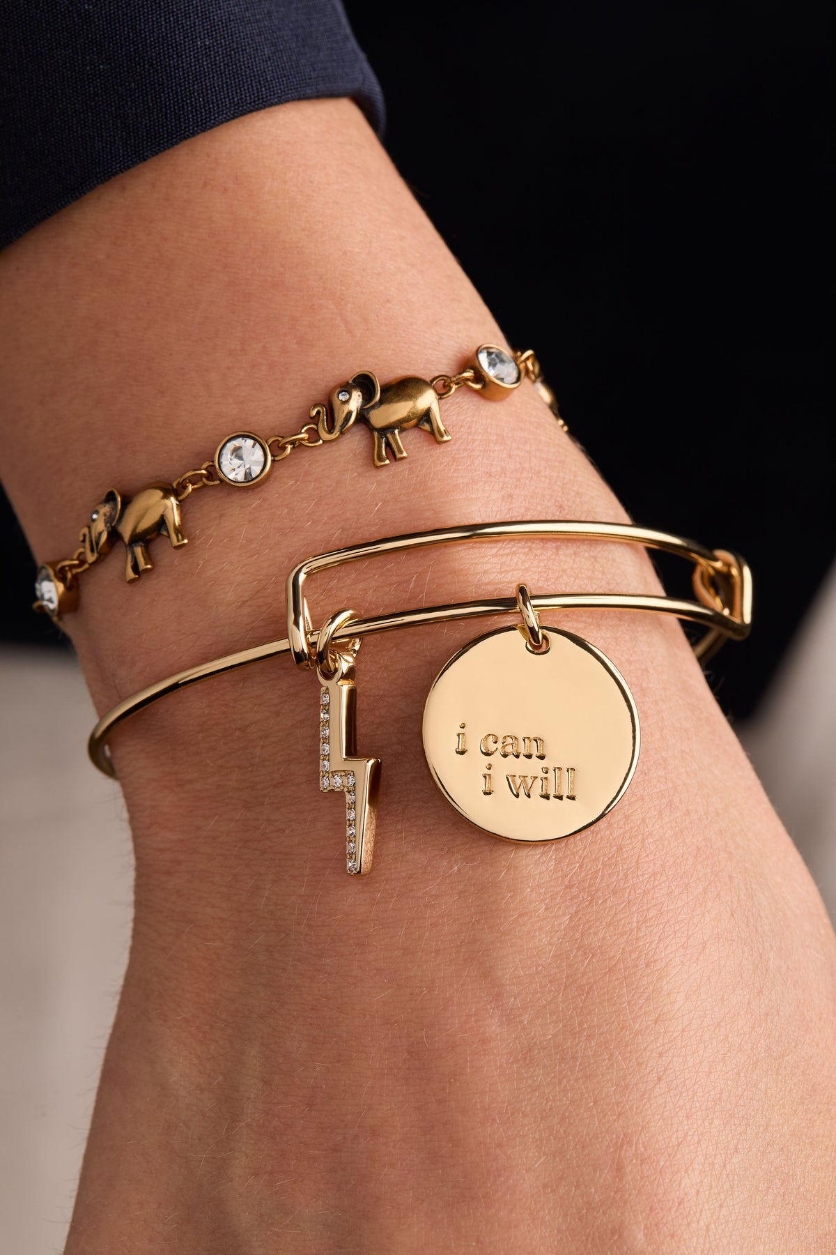 Alex and Ani Elephant Crystal Bolo Bracelet
