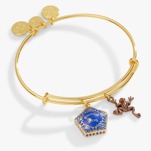 Alex and Ani Harry Potter™ Chocolate Frog Two-Charm Bangle