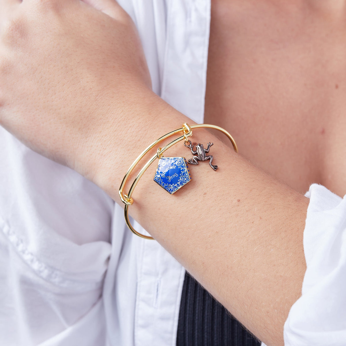 Alex and Ani Harry Potter™ Chocolate Frog Two-Charm Bangle