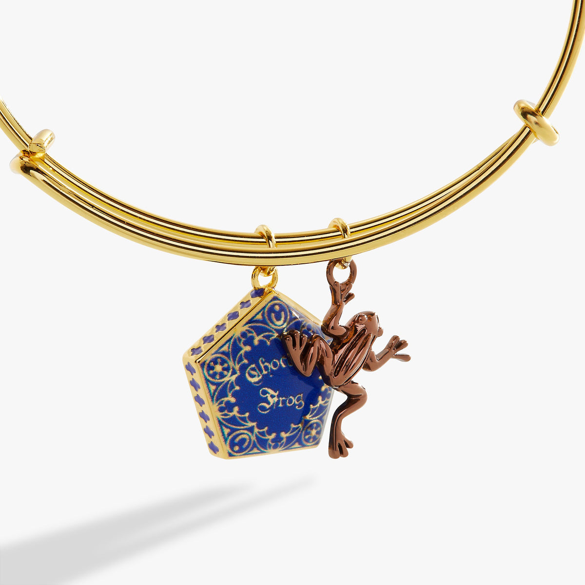 Alex and Ani Harry Potter™ Chocolate Frog Two-Charm Bangle