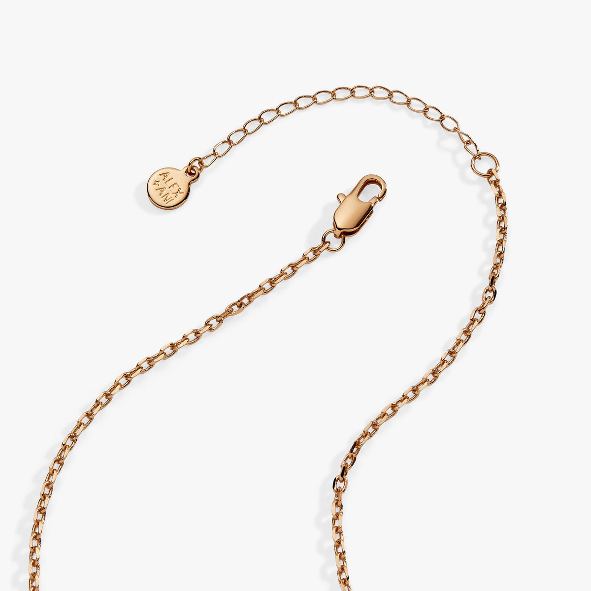 Alex and Ani Graduation 2026 Multi Charm Pendant