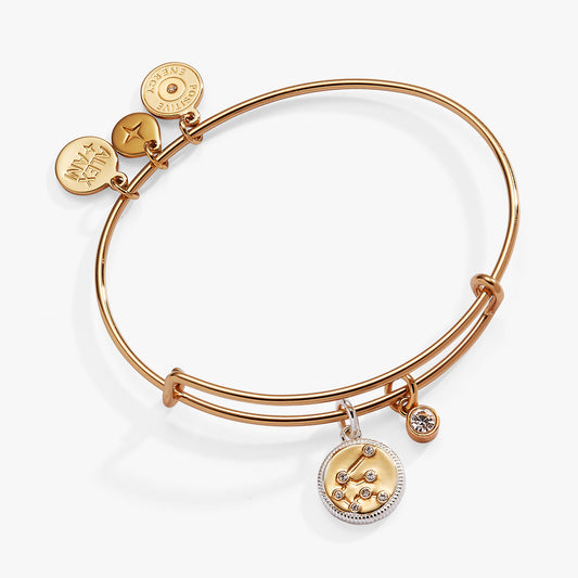 Alex and Ani Aquarius Zodiac Charm Bangle