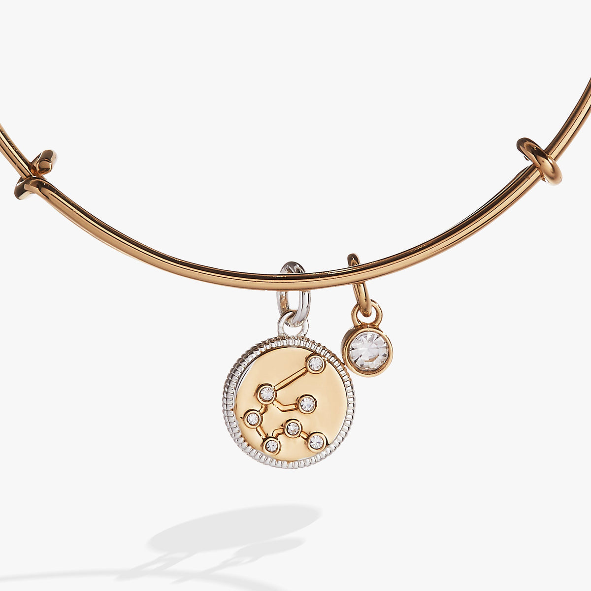 Alex and Ani Aquarius Zodiac Charm Bangle