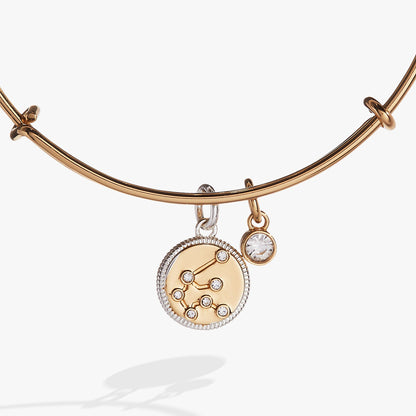 Alex and Ani Aquarius Zodiac Charm Bangle