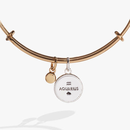 Alex and Ani Aquarius Zodiac Charm Bangle