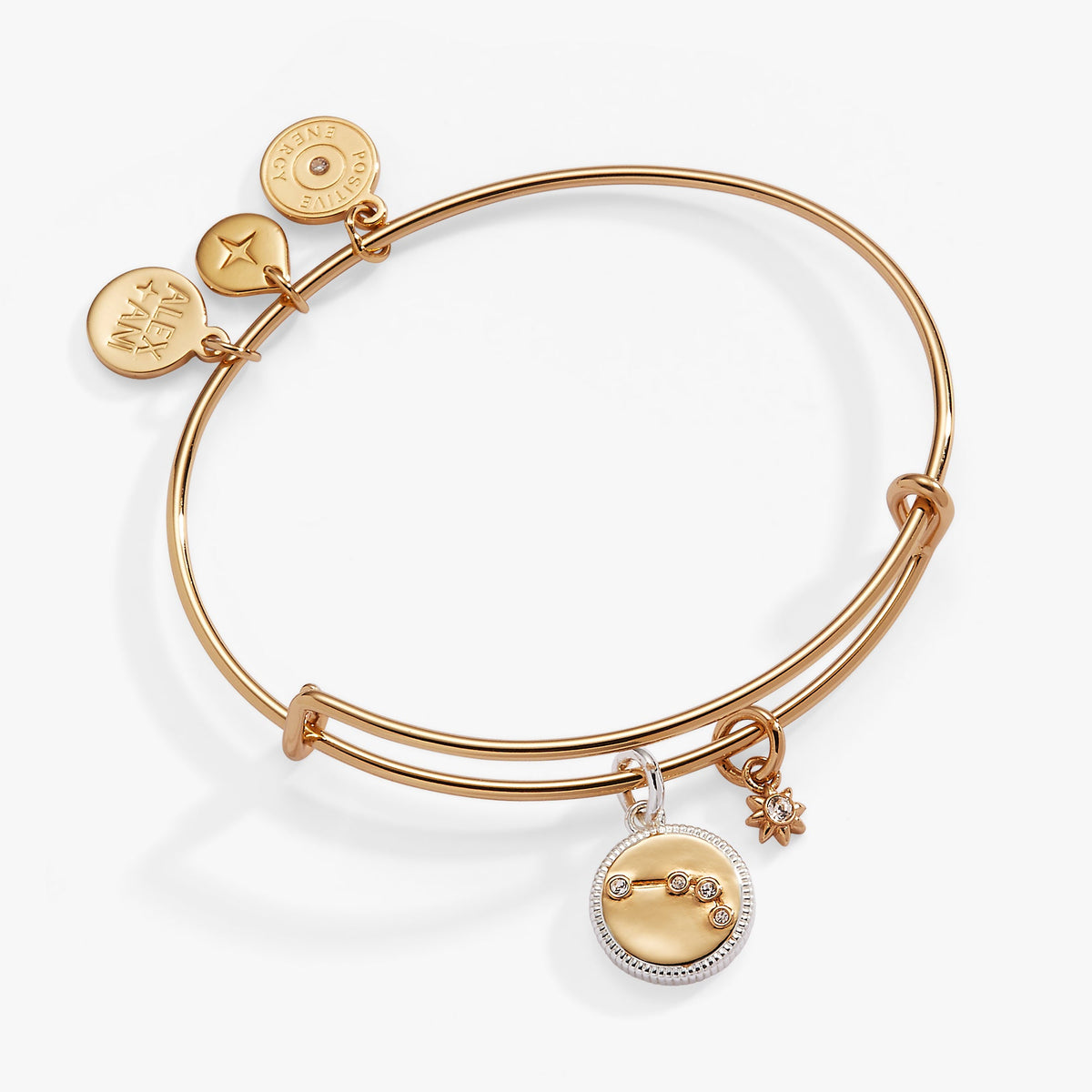 Alex and Ani Aries Zodiac Charm Bangle