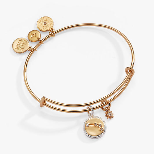 Alex and Ani Aries Zodiac Charm Bangle