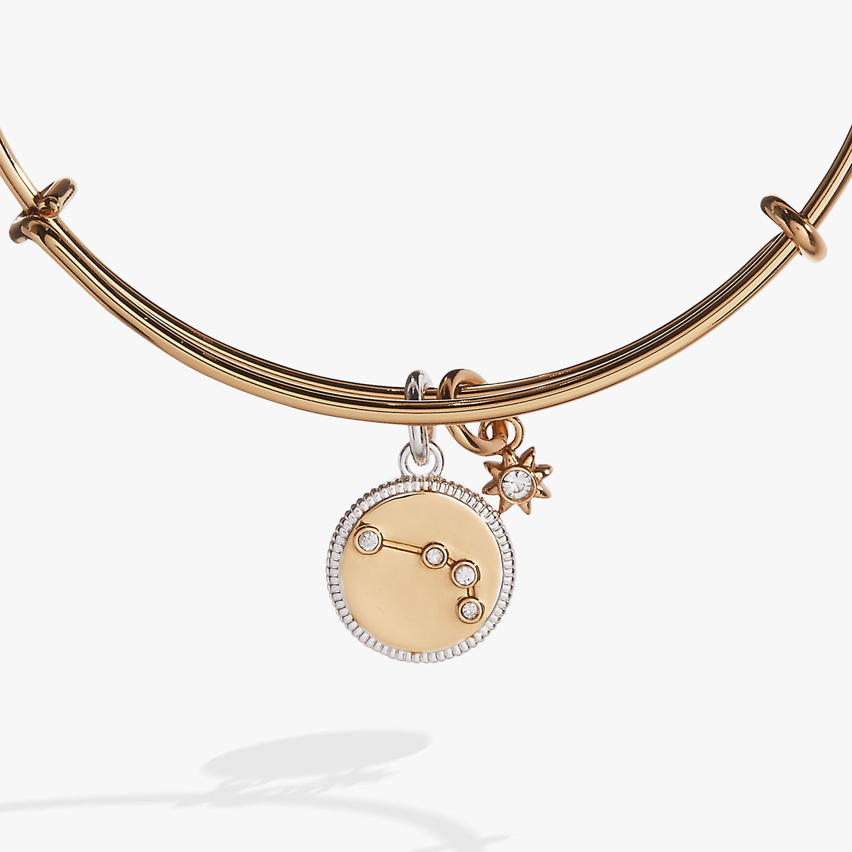 Alex and Ani Aries Zodiac Charm Bangle